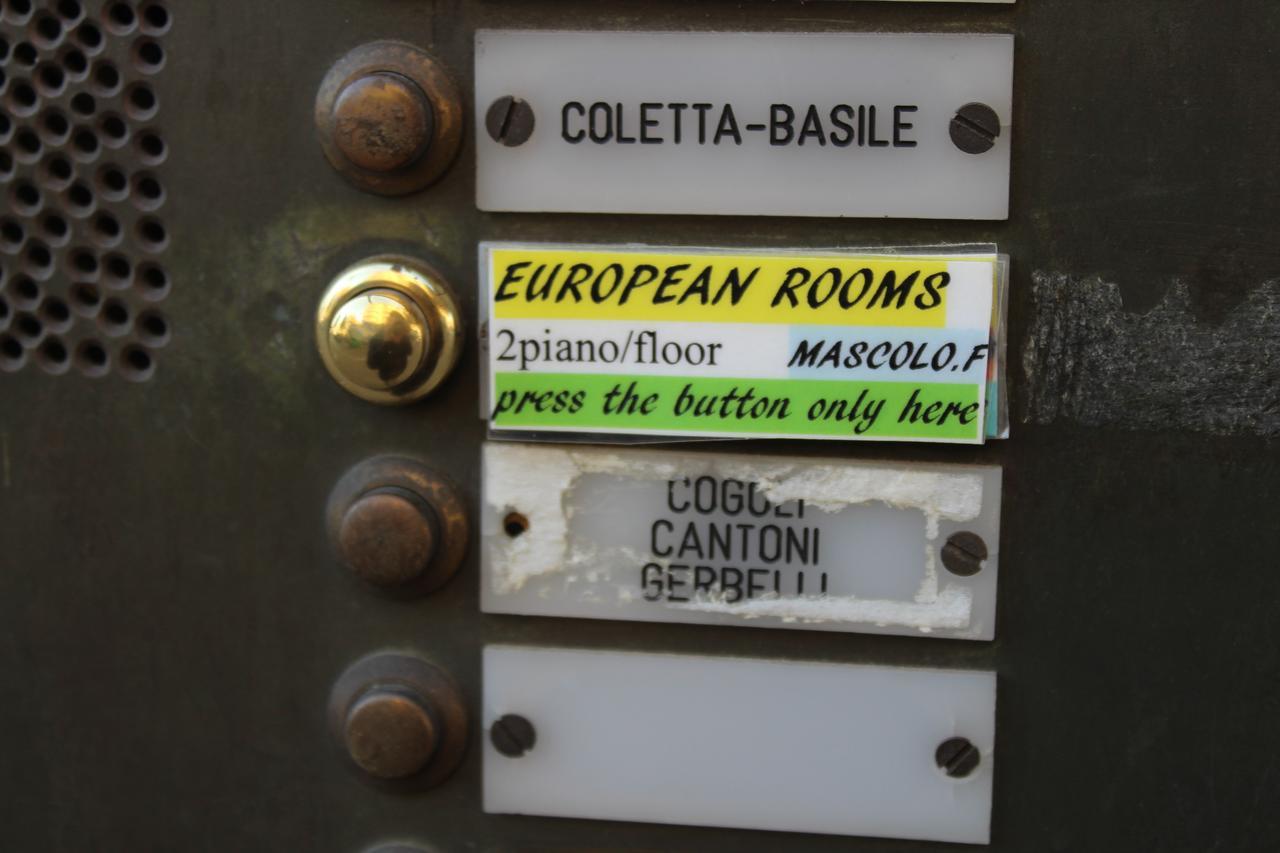 European * Parma